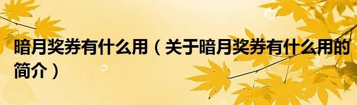 暗月奖券有什么用（关于暗月奖券有什么用的简介）