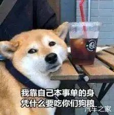 女子接吻被测出酒驾!交警:亲的时间比较长