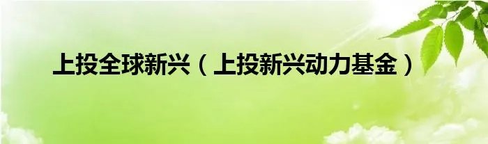上投全球新兴（上投新兴动力基金）