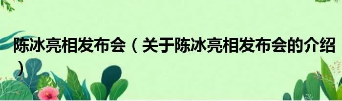 陈冰亮相发布会（关于陈冰亮相发布会的介绍）