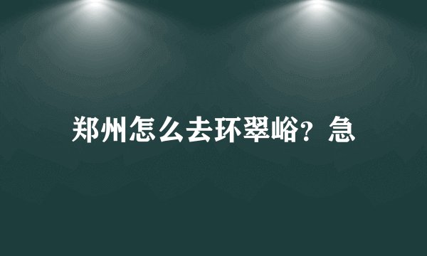 郑州怎么去环翠峪？急