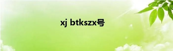 xj btkszx号