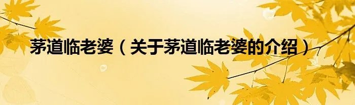 茅道临老婆（关于茅道临老婆的介绍）
