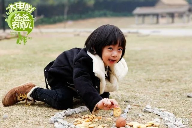 对于娱乐圈明星的孩子上真人秀有什么看法？这会影响孩子成长吗？