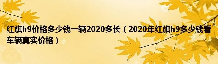 红旗h9价格多少钱一辆2020多长(2020年红旗h9多少钱看车辆真实价格)