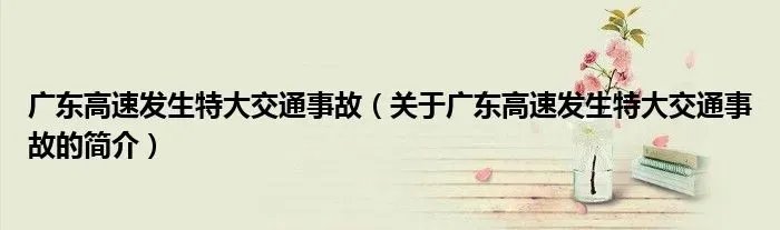 广东高速发生特大交通事故（关于广东高速发生特大交通事故的简介）
