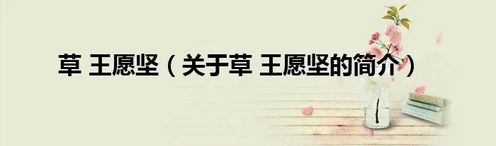 草 王愿坚（关于草 王愿坚的简介）
