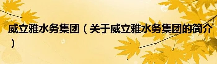 威立雅水务集团（关于威立雅水务集团的简介）