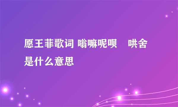 愿王菲歌词 嗡嘛呢呗嚒哄舍 是什么意思