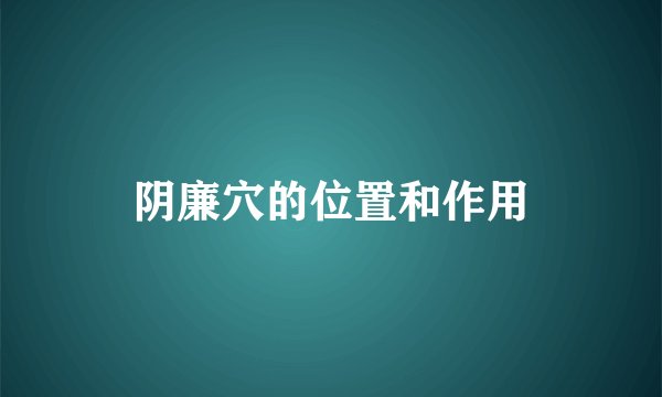 阴廉穴的位置和作用