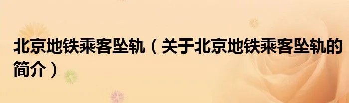 北京地铁乘客坠轨（关于北京地铁乘客坠轨的简介）