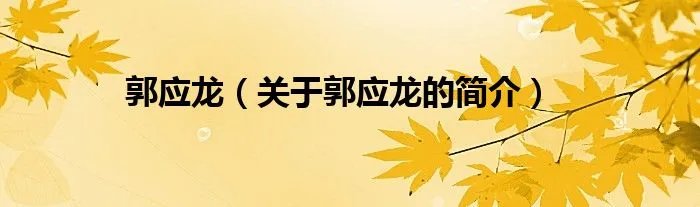 郭应龙（关于郭应龙的简介）