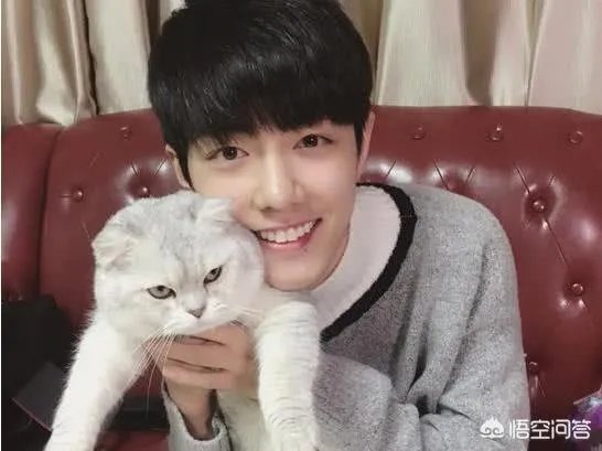 做肖战的女性朋友是什么感觉?