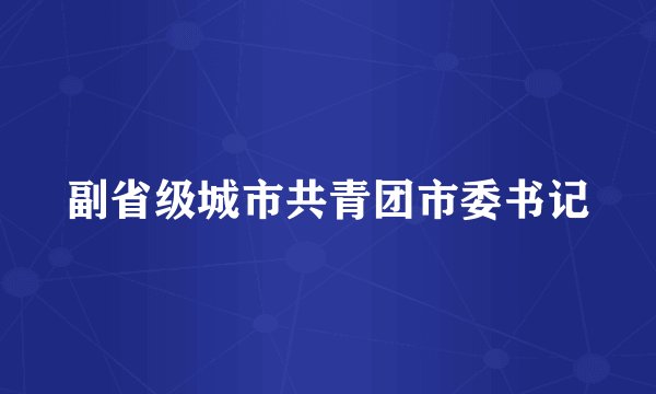 副省级城市共青团市委书记