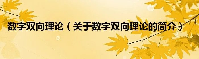 数字双向理论（关于数字双向理论的简介）