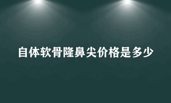 自体软骨隆鼻尖价格是多少