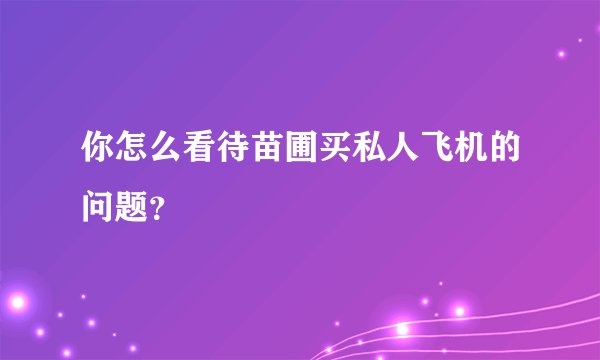 你怎么看待苗圃买私人飞机的问题？