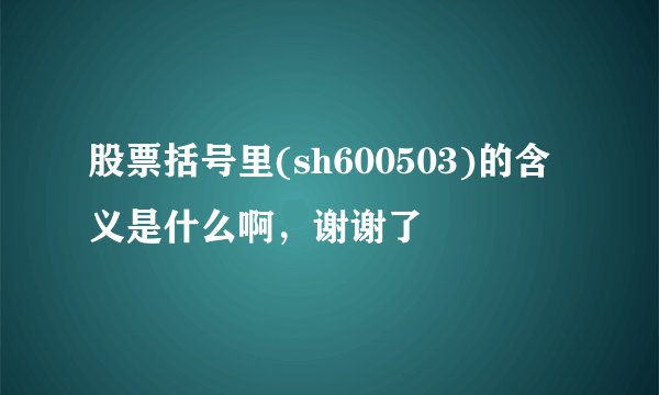 股票括号里(sh600503)的含义是什么啊,谢谢了