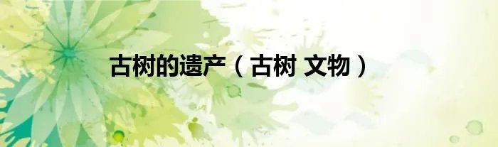 古树的遗产（古树 文物）