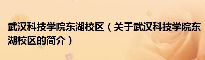 武汉科技学院东湖校区（关于武汉科技学院东湖校区的简介）