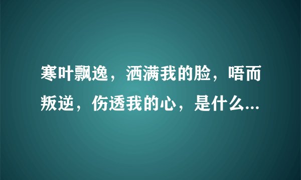 寒叶飘逸,洒满我的脸,唔而叛逆,伤透我的心,是什么歌曲的歌词