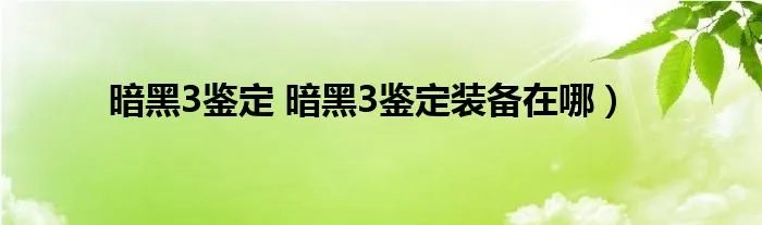 暗黑3鉴定 暗黑3鉴定装备在哪）