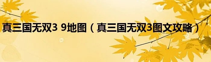 真三国无双3 9地图（真三国无双3图文攻略）
