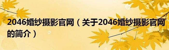 2046婚纱摄影官网（关于2046婚纱摄影官网的简介）