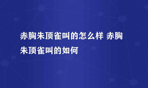 赤胸朱顶雀叫的怎么样 赤胸朱顶雀叫的如何