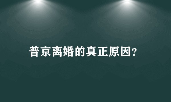 普京离婚的真正原因？