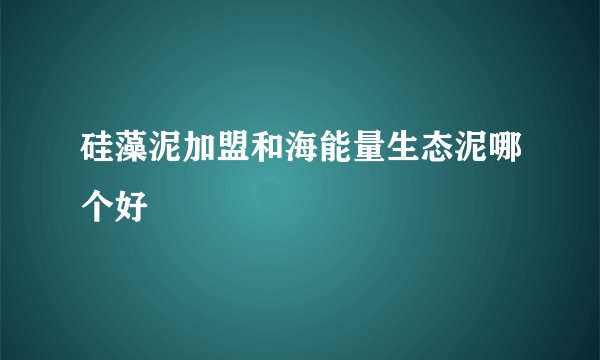 硅藻泥加盟和海能量生态泥哪个好