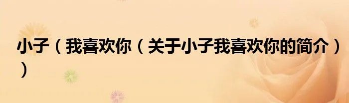 小子（我喜欢你（关于小子我喜欢你的简介））