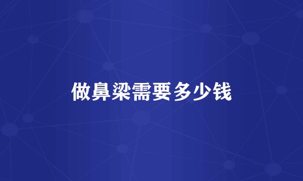 做鼻梁需要多少钱
