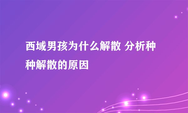 西域男孩为什么解散 分析种种解散的原因