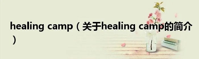 healing camp（关于healing camp的简介）