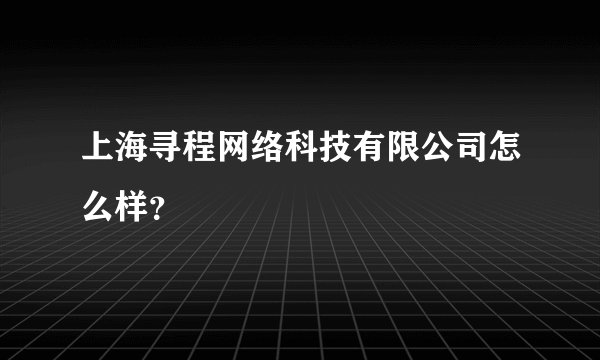 上海寻程网络科技有限公司怎么样?