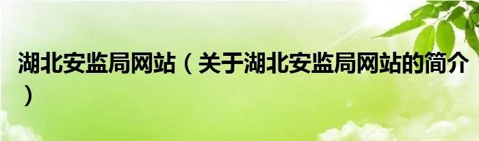 湖北安监局网站（关于湖北安监局网站的简介）