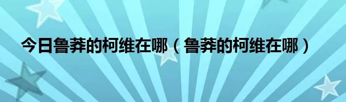 今日鲁莽的柯维在哪（鲁莽的柯维在哪）