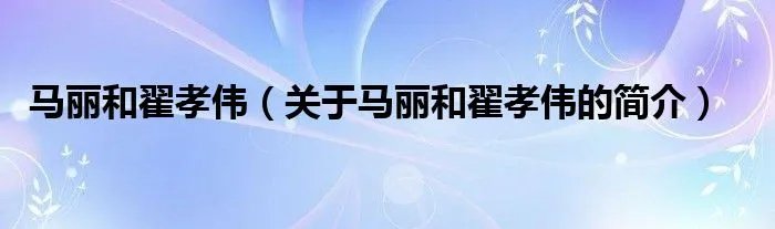 马丽和翟孝伟（关于马丽和翟孝伟的简介）