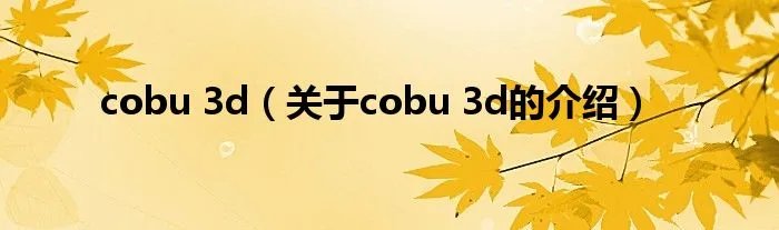 cobu 3d（关于cobu 3d的介绍）