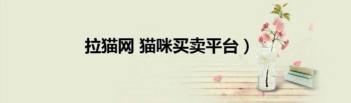 拉猫网 猫咪买卖平台)