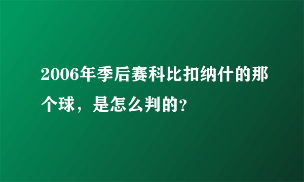 2006年季后赛科比扣纳什的那个球,是怎么判的?