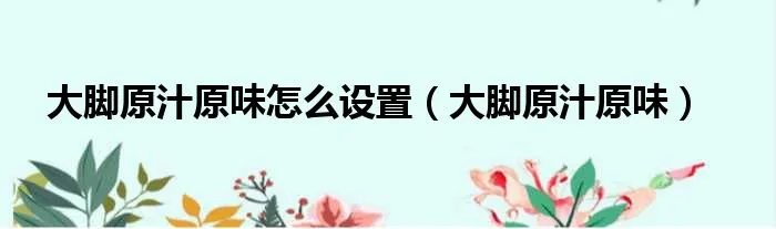 大脚原汁原味怎么设置（大脚原汁原味）