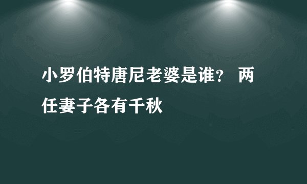 小罗伯特唐尼老婆是谁? 两任妻子各有千秋