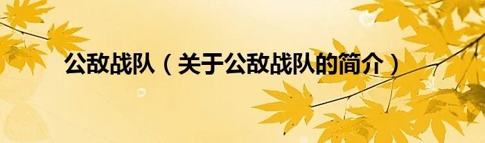 公敌战队（关于公敌战队的简介）