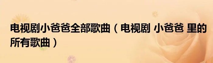 电视剧小爸爸全部歌曲（电视剧 小爸爸 里的所有歌曲）