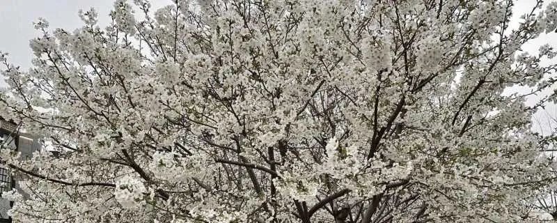 qq分组简单好听 qq分组干净简洁