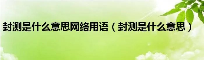 封测是什么意思网络用语（封测是什么意思）