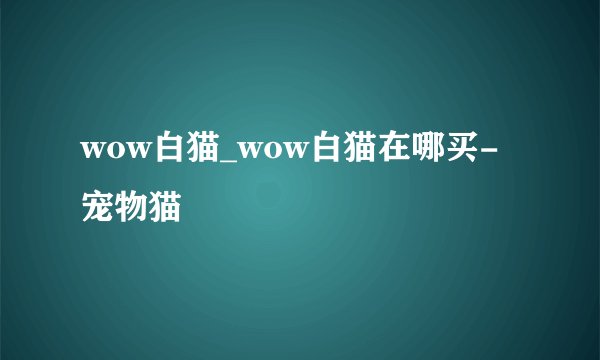 wow白猫_wow白猫在哪买-宠物猫