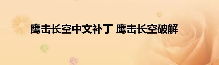 鹰击长空中文补丁 鹰击长空破解